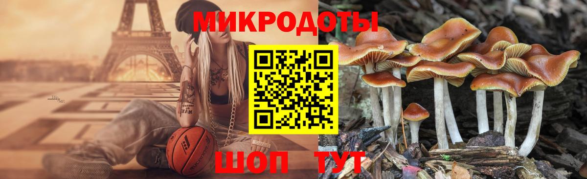 Псилоцибиновые грибы мухоморы Лабинск